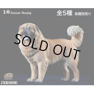 画像: JxK Studio 1/6 コーカシアン・シープドッグ Caucasian Sheepdog 5種 JXK050 *お取り寄せ