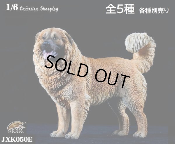 画像1: JxK Studio 1/6 コーカシアン・シープドッグ Caucasian Sheepdog 5種 JXK050 *お取り寄せ