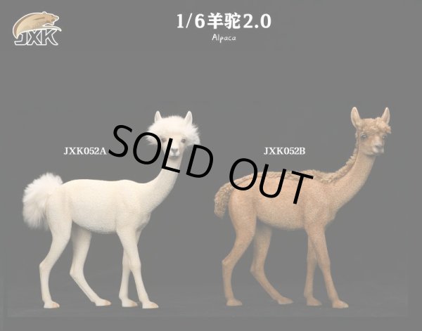 画像1: JxK Studio 1/6 アルパカ 2.0 Alpaca 2種 JXK052 *お取り寄せ