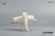 画像9: JxK Studio 1/6 柴犬 トイレタイム ”小” 3種 JXK054 *お取り寄せ