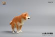 画像15: JxK Studio 1/6 柴犬 トイレタイム ”大” 3種 JXK053 *お取り寄せ