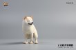 画像8: JxK Studio 1/6 柴犬 トイレタイム ”大” 3種 JXK053 *お取り寄せ