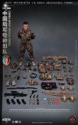 画像17: Soldier Story 1/6 中国人民解放軍 陸軍特殊部隊 ”ファルコン 2015” アクションフィギュア SS119 *予約