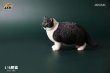 画像5: JxK Studio 1/6 ぽっちゃり猫  ファットキャット Fat Cat 7種 JXK064 *お取り寄せ