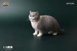画像9: JxK Studio 1/6 ぽっちゃり猫  ファットキャット Fat Cat 7種 JXK064 *お取り寄せ