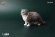 画像6: JxK Studio 1/6 ぽっちゃり猫  ファットキャット Fat Cat 7種 JXK064 *お取り寄せ