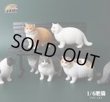 画像: JxK Studio 1/6 ぽっちゃり猫  ファットキャット Fat Cat 7種 JXK064 *お取り寄せ