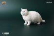 画像4: JxK Studio 1/6 ぽっちゃり猫  ファットキャット Fat Cat 7種 JXK064 *お取り寄せ