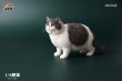 画像7: JxK Studio 1/6 ぽっちゃり猫  ファットキャット Fat Cat 7種 JXK064 *お取り寄せ