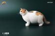 画像8: JxK Studio 1/6 ぽっちゃり猫  ファットキャット Fat Cat 7種 JXK064 *お取り寄せ
