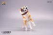 画像8: JxK Studio 1/6 柴犬とサッカーボール 3種 JXK072 *予約