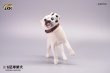 画像13: JxK Studio 1/6 柴犬とサッカーボール 3種 JXK072 *予約