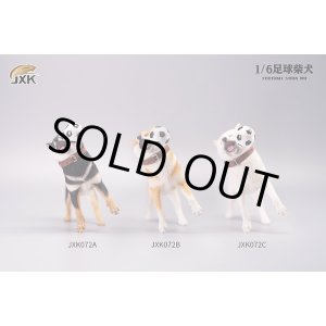 画像: JxK Studio 1/6 柴犬とサッカーボール 3種 JXK072 *予約