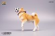 画像9: JxK Studio 1/6 柴犬とサッカーボール 3種 JXK072 *予約