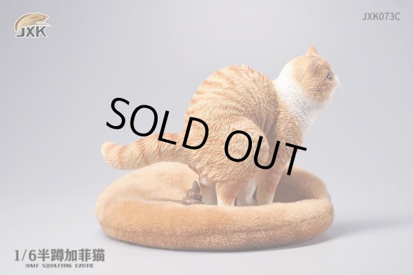 JXK Studio 1/6 JXK073 エキゾチックショートヘア 猫 トイレ