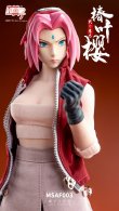 画像2: MOZ STUDIO 1/6 Sakura Assassin アクションフィギュア MSAF003  *予約