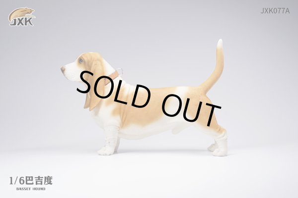 JxK Studio 1/6 JXK077 バセット・ハウンド 4種 Basset Hound