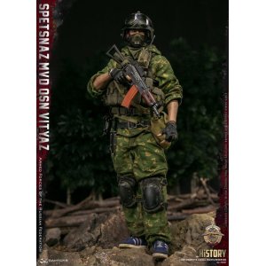 画像: DAMTOYS 1/6 ロシア連邦軍 スペツナズ MVD VV OSN Vityaz アクションフィギュア 78087 *お取り寄せ