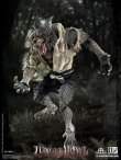 画像4: COOMODEL x OUZHIXIANG 1/12 『ジャングル ハウル』 フォレスト ウェアウルフ 人狼 狼男 アクションフィギュア 2種 PM001 PM002 *予約