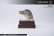 画像17: Mostoys 1/6 クロコダイル ワニ ヘッド Crocodile Head Figuer 5種 MS2104 *お取り寄せ