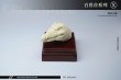 画像6: Mostoys 1/6 クロコダイル ワニ ヘッド Crocodile Head Figuer 5種 MS2104 *お取り寄せ