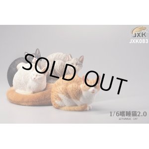 画像: JxK Studio 1/6 うとうとする猫  4種 JXK083 *お取り寄せ