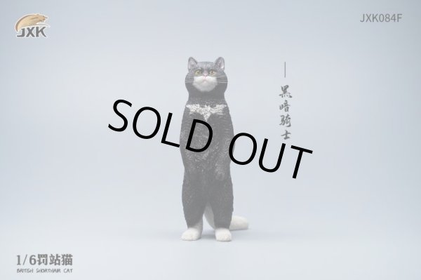 JXK Studio 1/6 JXK084 ブリティッシュショートヘア 立ち猫 紙袋