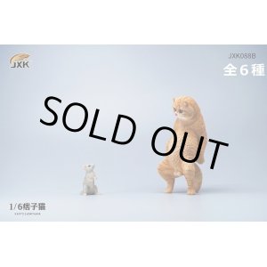 画像: JxK Studio 1/6 仁王立ちの猫 エキゾチックショートヘア ＆ ちっちゃいネズミ セット JXK088ABCDEF *お取り寄せ