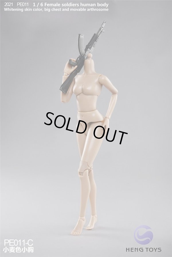 Highly Mobile Female 1/6 Scale Figure Body (PE011A)