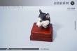 画像17: Mostoys 1/6 ハスキー 犬 ヘッド Husky Head 6種 MS2108 *お取り寄せ