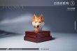 画像7: Mostoys 1/6 ハスキー 犬 ヘッド Husky Head 6種 MS2108 *お取り寄せ