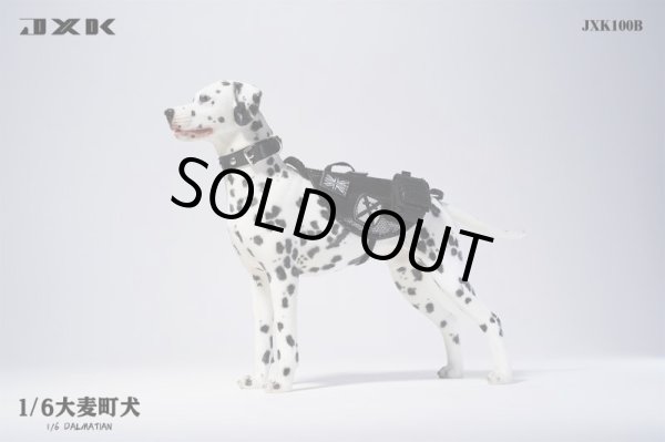 JxK Studio 1/6 JXK100 ダルメシアン 2種 差替えヘッド付き 犬