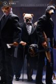 画像7: Mostoys 1/6 ブルドッグ ゴッドファーザー Bulldog godfather ヘッド2個 アクションフィギュア 3種 M2201 *予約