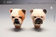 画像12: Mostoys 1/6 ブルドッグ ゴッドファーザー Bulldog godfather ヘッド2個 アクションフィギュア 3種 M2201 *予約