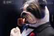 画像19: Mostoys 1/6 ブルドッグ ゴッドファーザー Bulldog godfather ヘッド2個 アクションフィギュア 3種 M2201 *予約