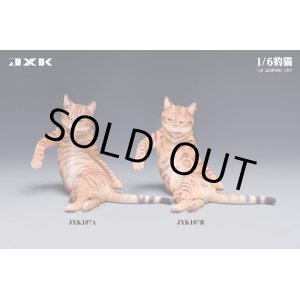 画像: JxK Studio 1/6 レオパード キャット Leopard Cat 豹猫 2種 JXK107 *お取り寄せ