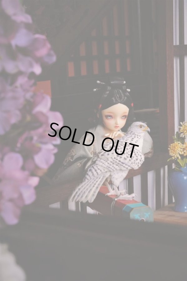 JxK Studio 1/6 白隼 シロハヤブサ X32103 A B BJD ドール 人形