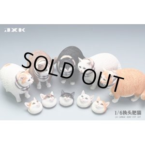 画像: JxK Studio 1/6 ファットキャット 顔交換可能 JXK109 *お取り寄せ