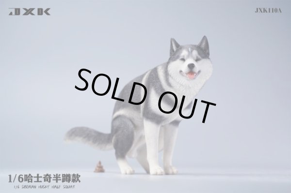 JxK Studio JXK110 1/6 シベリアン ハスキー 犬 トイレタイム 大
