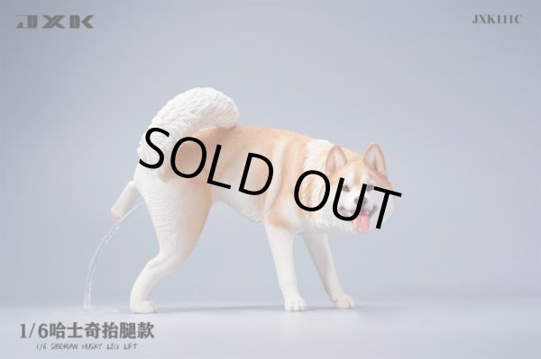 JxK Studio JXK110 1/6 シベリアン ハスキー 犬 トイレタイム 小 JxK Studio JXK110 1/6 シベリアン ハスキー 犬 トイレタイム 小