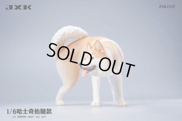 ハスキー様お取り置き商品 JxK Studio JXK110 1/6 シベリアン ハスキー 犬 トイレタイム 小