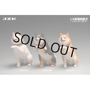 画像: JXK Studio 1/6 柴犬 ”お手” 頭部交換可 3種 JXK114 *お取り寄せ