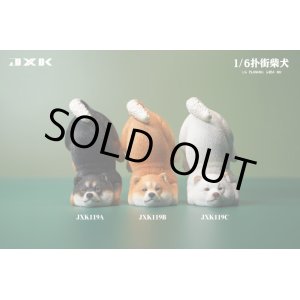 画像: JxK Studio 1/6 逆立ちする柴犬  3種 JXK119 *予約