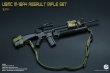 画像8: Easy & Simple 1/6 USMC M16A4 Assault Rifle Set 2 in 1 (06032)  *予約　