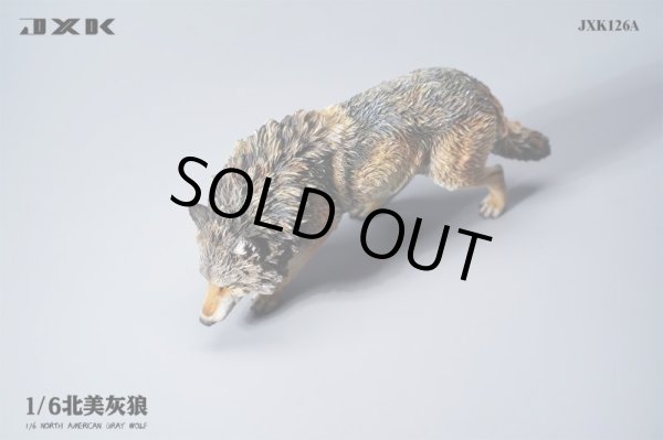 JxK Studio JXK126 1/6 ハイイロオオカミ 狼 ウルフ スタチュー