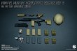 画像9: Easy & Simple 1/6 Private Military Contractor Weapon Set C SA 58 7.62 Assault Rifle (06033) ABCDEF- 6種  *予約　
