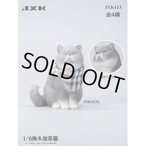 画像: JxK Studio 1/6 エキゾチックショートヘア 猫 替えヘッド 4種 JXK113 *お取り寄せ