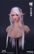 画像2: YMTOYS 1/6 エルフ 女性ヘッド Ai 4種 YMT078 *予約 