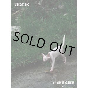 画像: JxK Studio 1/3 スフィンクス 猫 2種 X32204 *予約