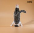 画像9: JxK Studio 1/6 ヨガ キャット 猫 ≪マット+バーベル付き≫ 5種 JXK138 *お取り寄せ